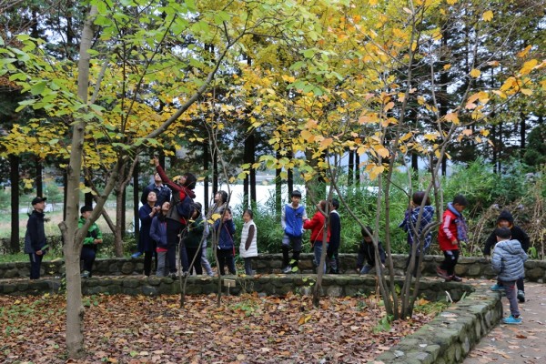 e03aea37122b471f332b3348d3b2f28c_1477729