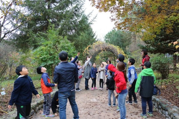 e03aea37122b471f332b3348d3b2f28c_1477729