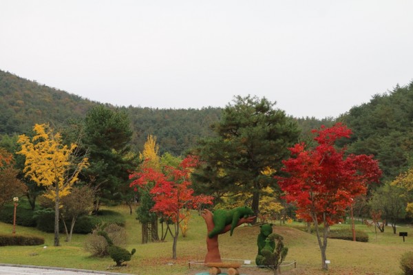 e03aea37122b471f332b3348d3b2f28c_1477729