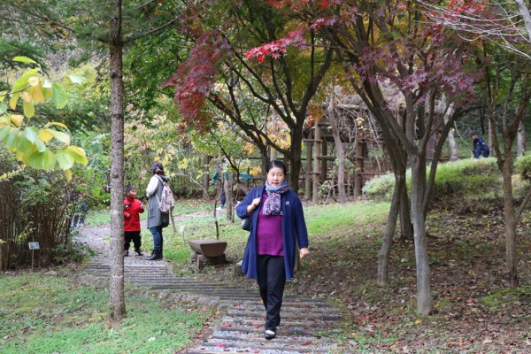 e03aea37122b471f332b3348d3b2f28c_1477729