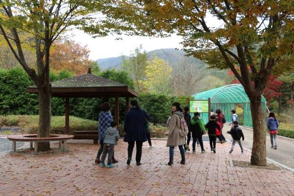 e03aea37122b471f332b3348d3b2f28c_1477729