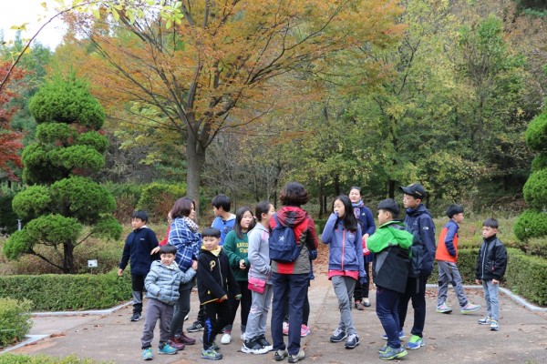 e03aea37122b471f332b3348d3b2f28c_1477729