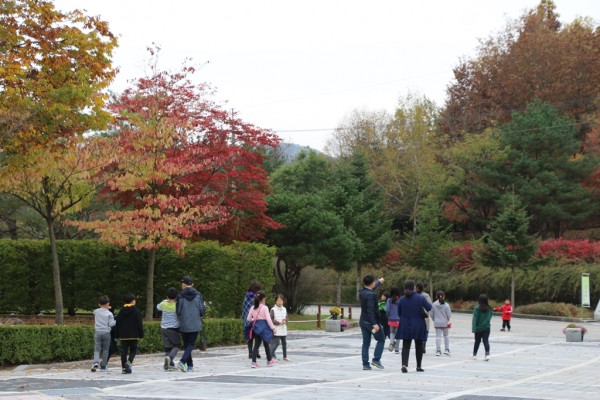 e03aea37122b471f332b3348d3b2f28c_1477729